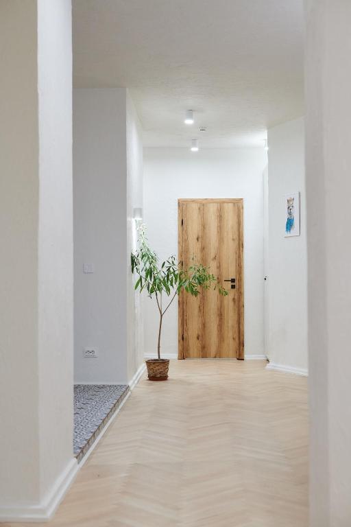 Fotografie z fotogalerie ubytování Lama Hostel v destinaci Ivano-Frankivsk