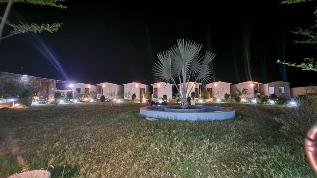 a row of tents at night with a palm tree in the middle at Hem Vilas in Sawāi Mādhopur