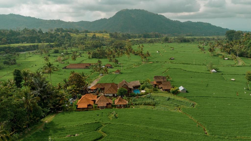 an aerial view of a village in a green field at Kubu Sakian Villa in Silebeng