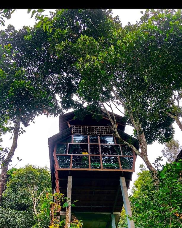 Zahrada ubytování Tree House Wayanad