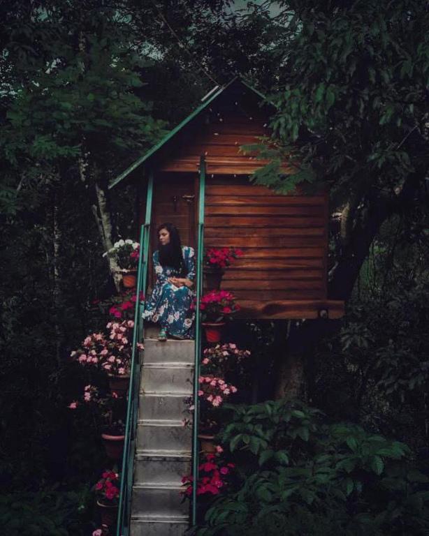 Zahrada ubytování Tree House Wayanad