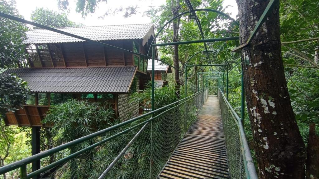Fotografie z fotogalerie ubytování Tree House Wayanad v destinaci Muthanga