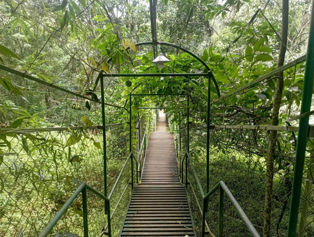 Fotografie z fotogalerie ubytování Tree House Wayanad v destinaci Muthanga