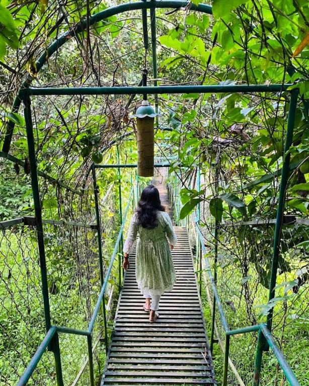 Hosté ubytování Tree House Wayanad