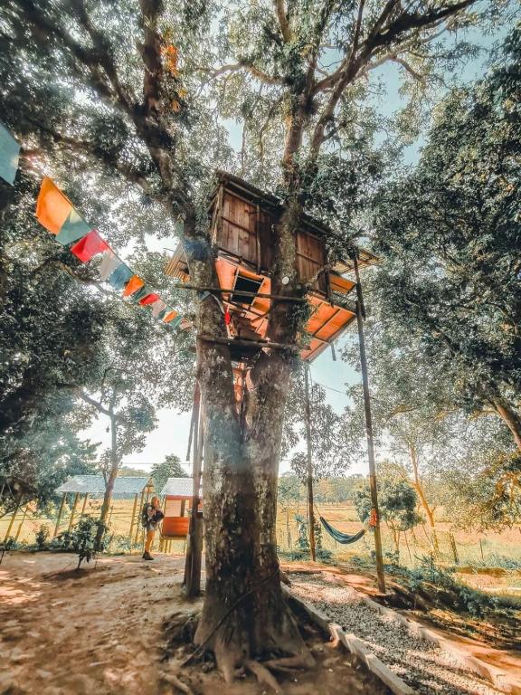 Foto dalla galleria di Pemsee's Tree Town - Eco-friendly,Tree house hostel a Sauraha