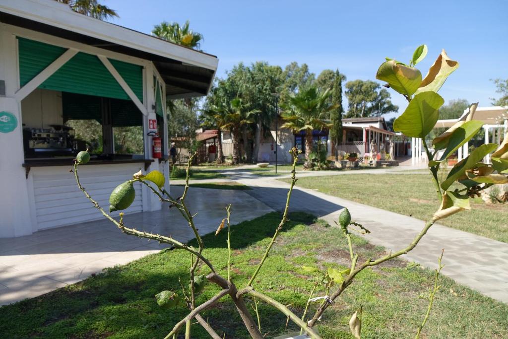 Сад в Giardini Sausari Residence