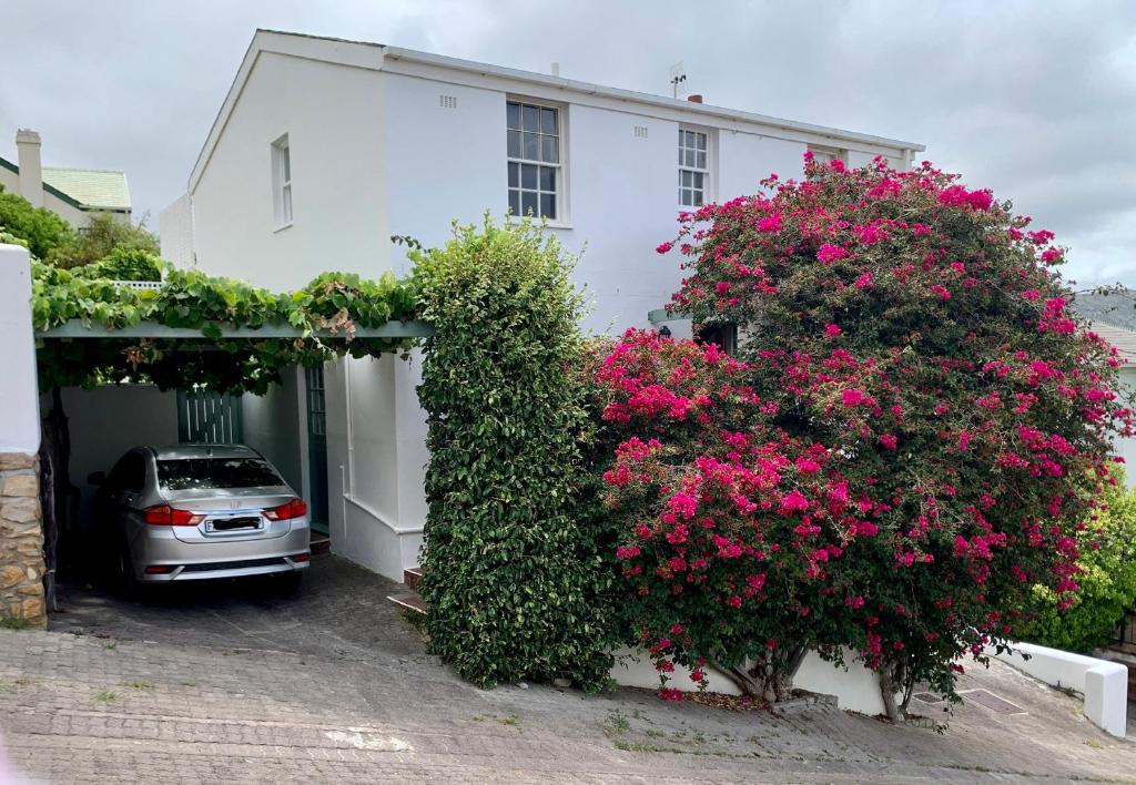 Bougainvillea House - The Heart of Simonstown - Villa Avec Vue Sur La Mer