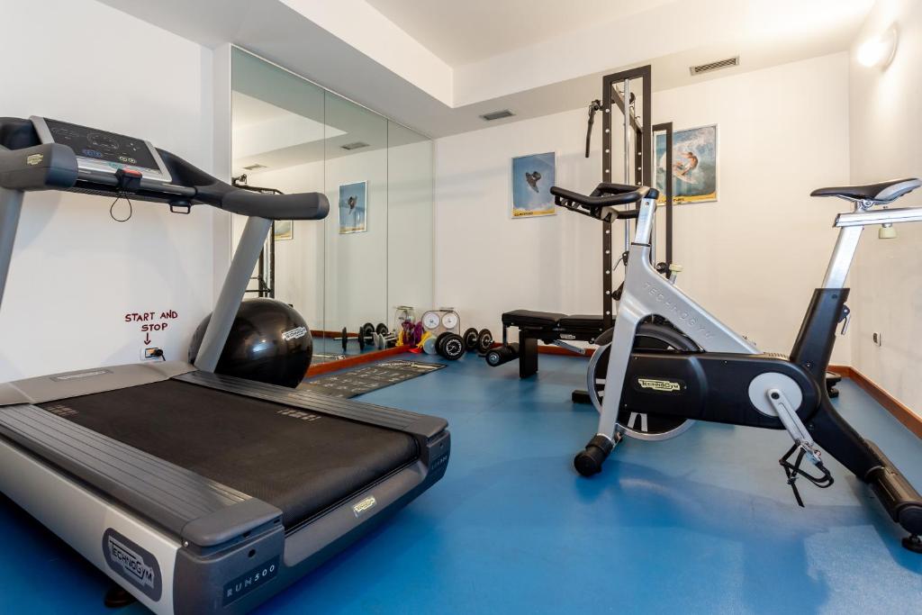 Fitness centrum a/nebo fitness zařízení v ubytování Hotel Alesi
