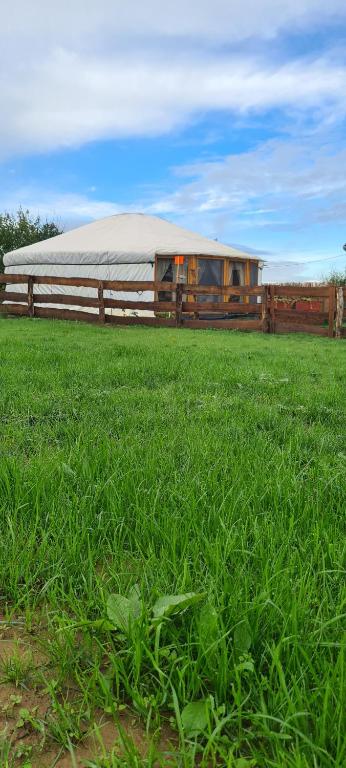 a building in a field with green grass at Jurtarelax in Kozármisleny