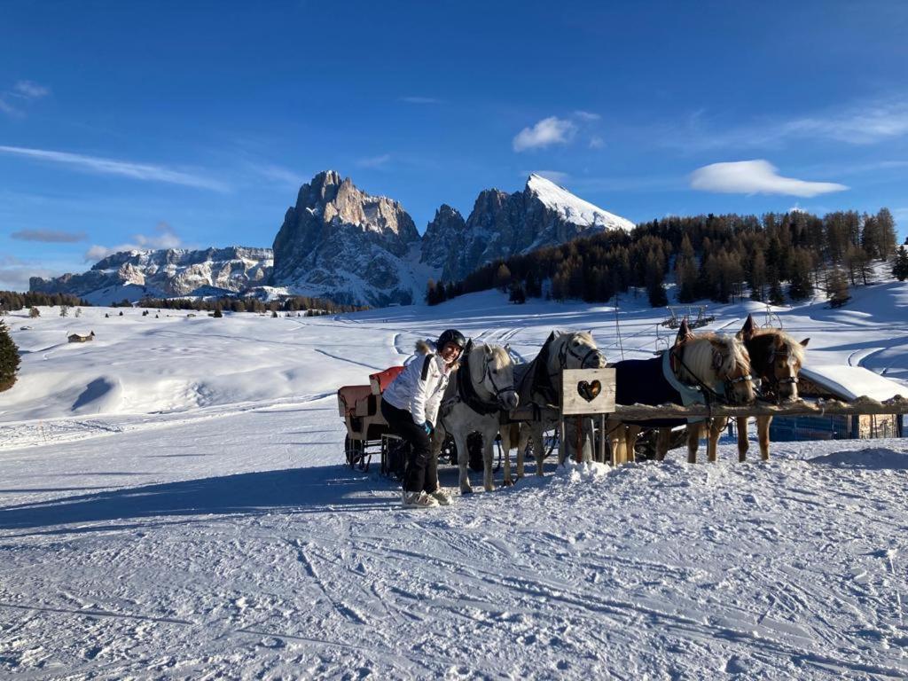 a person is pulling a horse drawn sleigh in the snow at appartamento SELVA VAL GARDENA in Plan