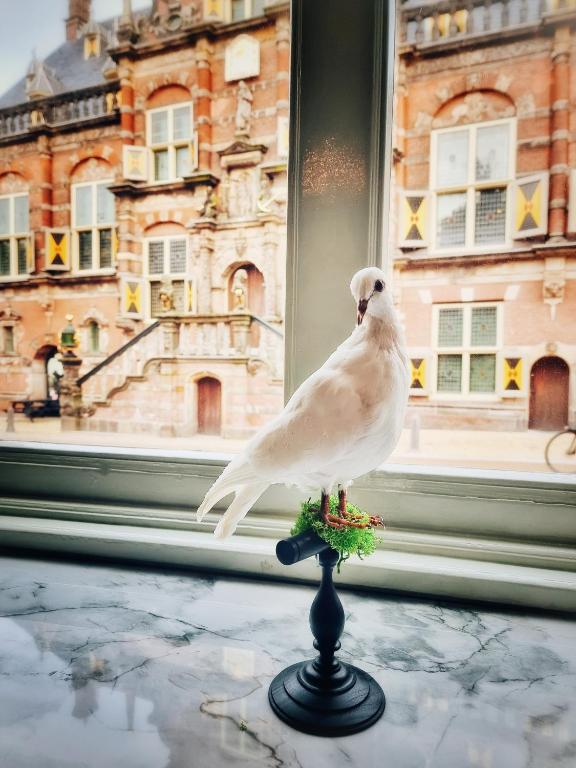 Fotografie z fotogalerie ubytování Elf bed and breakfast v destinaci Bolsward