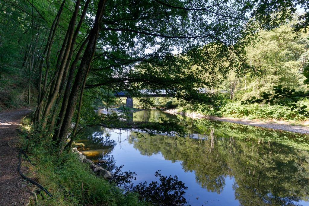 費瑞雷斯的住宿－Camping Village Sy，享有树木和桥梁的河流美景