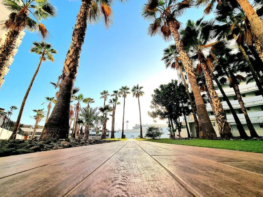 an empty road with palm trees in the background at Un pisito en Maspalomas in Maspalomas