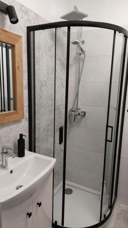 una ducha con una puerta de cristal junto a un lavabo en Apartament z Napoleonem w tle en Lidzbark Warmiński