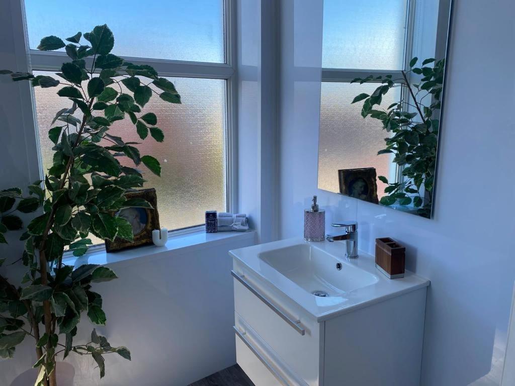 La salle de bains est pourvue d'un lavabo, d'un miroir et d'une plante. dans l'établissement The Santiago Suite - sleeps 10, à Southport