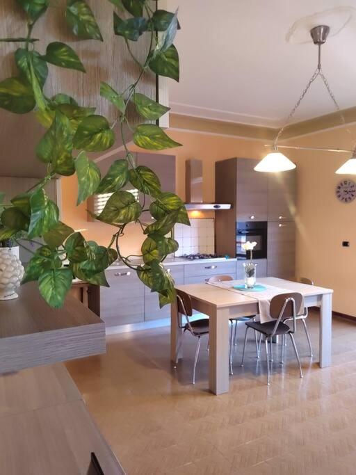 eine Küche mit einem Tisch mit Stühlen und einer Pflanze in der Unterkunft Lomello_Free Wi-Fi_Netflix in Lomello