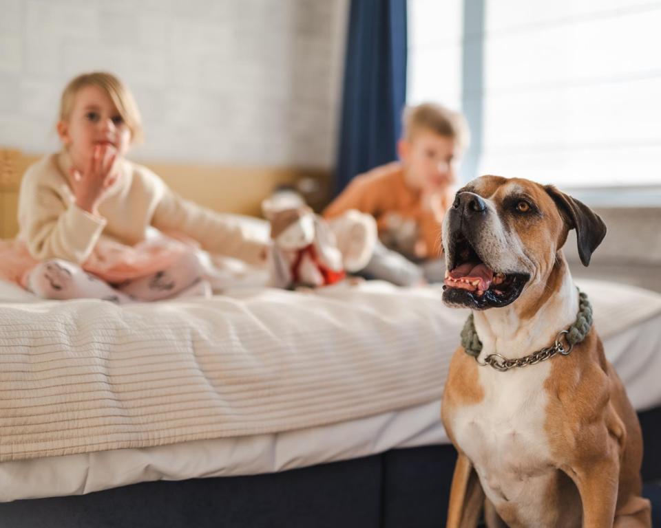 Hotel Marina Club Old Town View - Resim 20