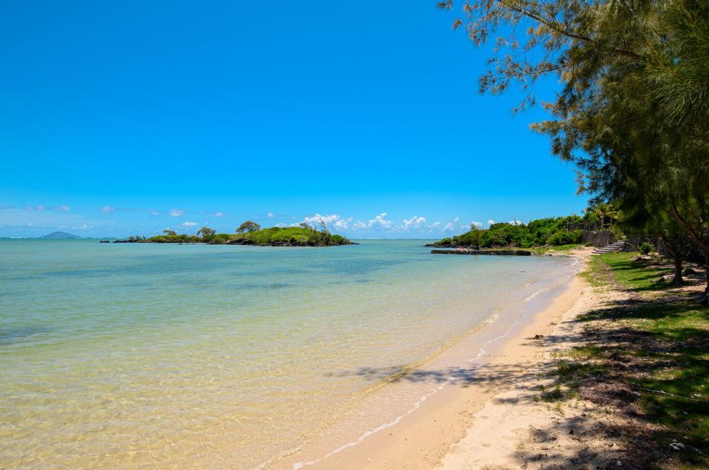a view of a beach with trees and the ocean at Ocean Grand Gaube with LOV in Grand Gaube