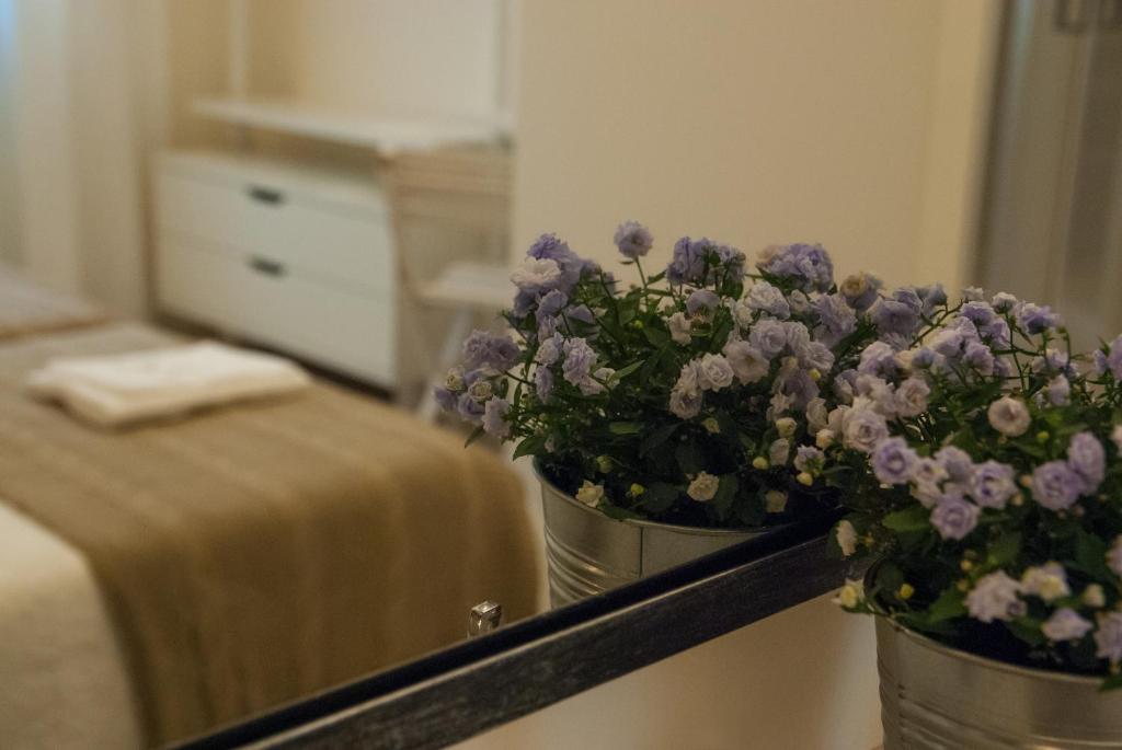 BandBFirenze 8 Cittadella 8 - 11