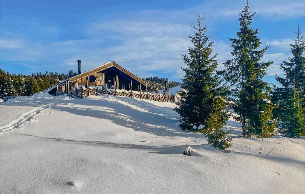 una cabaña de madera en la nieve con árboles delante en 3 Bedroom Gorgeous Home In Sjusjen en Sjusjøen