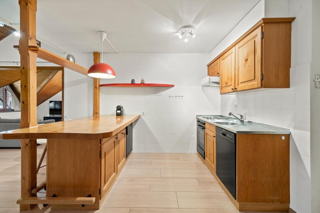 Kuchyň nebo kuchyňský kout v ubytování Cosy appartement lumineux et spacieux à Charmey