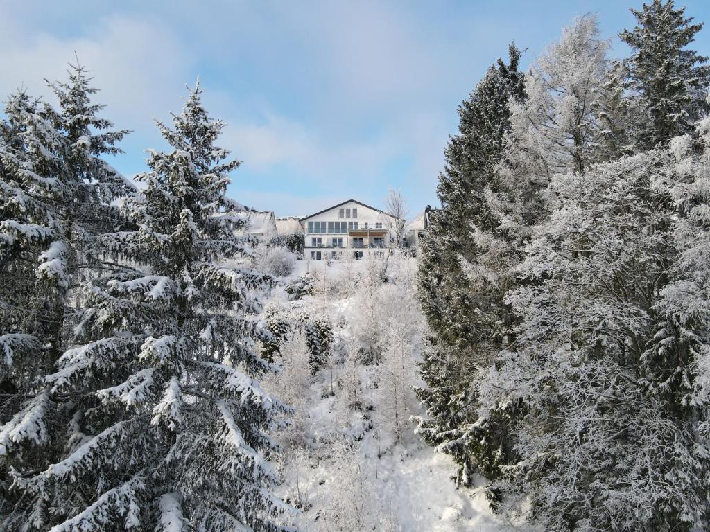uma casa é vista através das árvores cobertas de neve em Landhotel Fernsicht em Winterberg