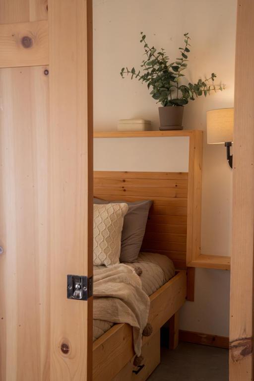 a room with a bunk bed with a potted plant at Le 2800 du Parc in Shawinigan