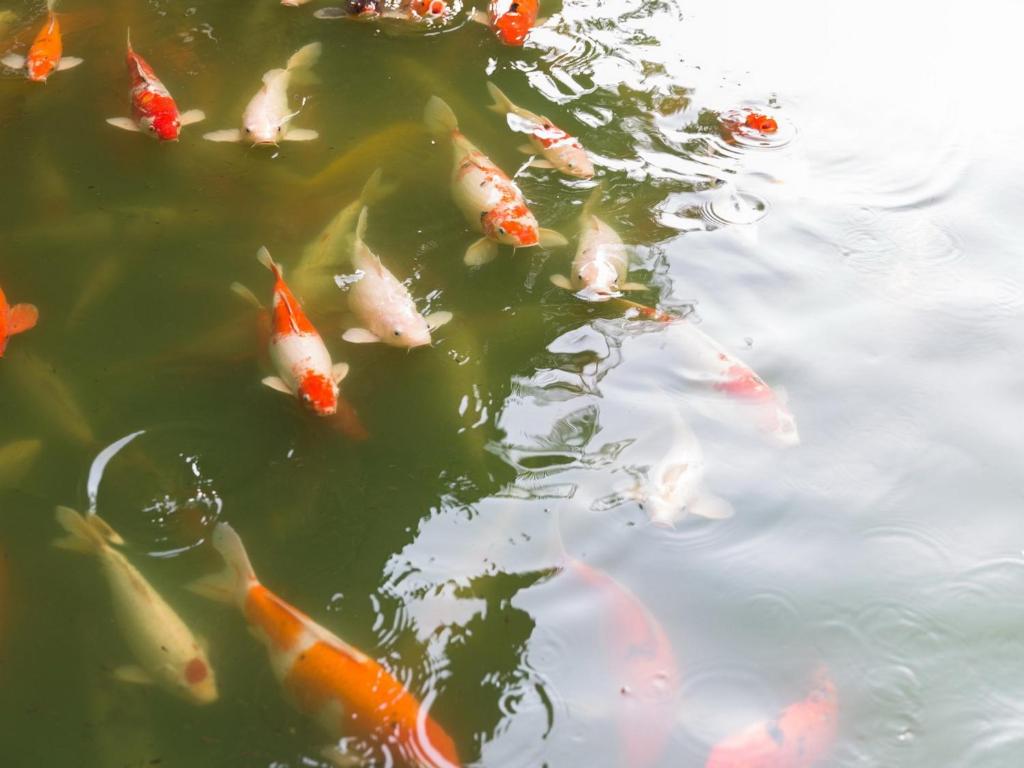 Eastern Grand Palace - Resim 21