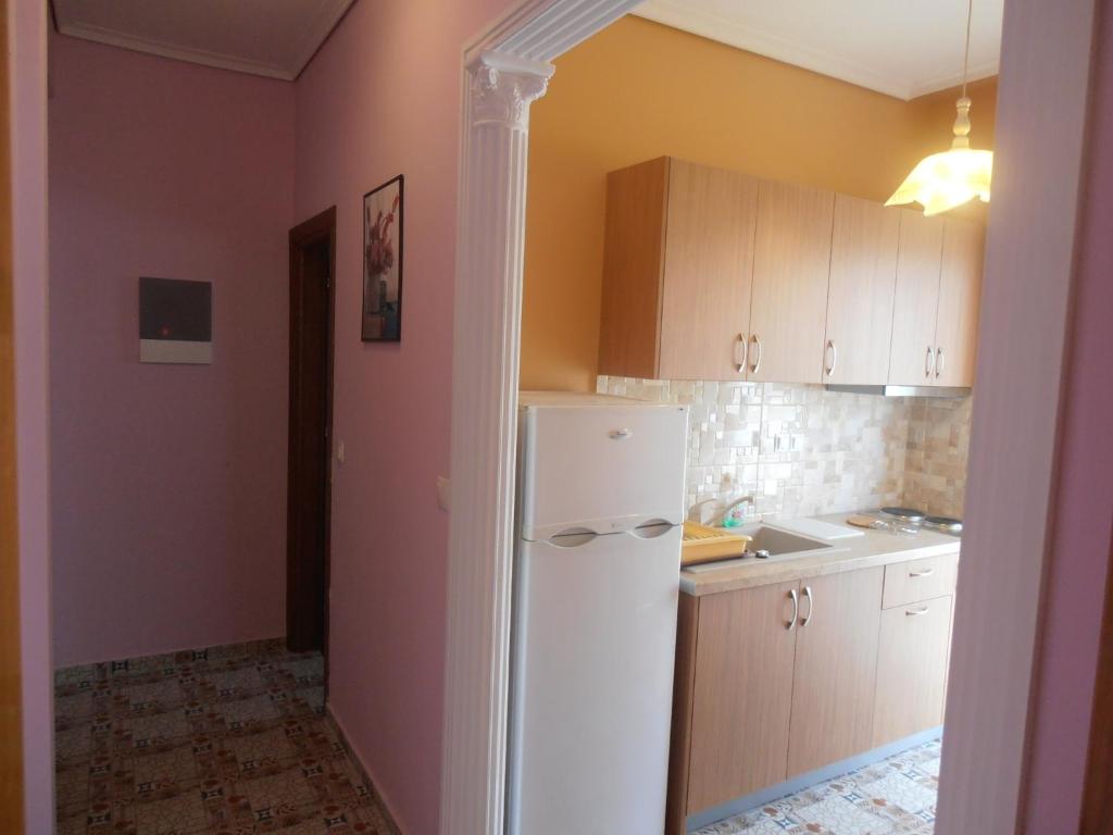 A kitchen or kitchenette at Apartments Palladium