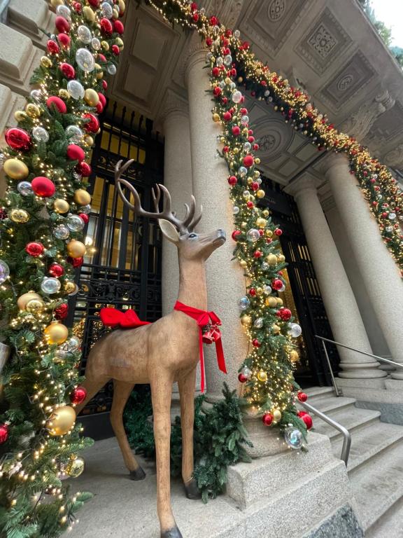 Santa Sofia Apartment - 17