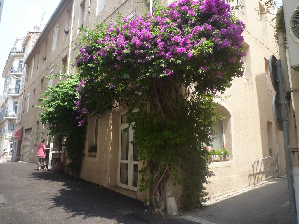 Appia Hotel - Resim 6