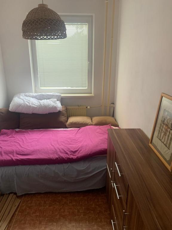a bedroom with a pink bed and a window at Lovely room for 2 persons in 3 room flat in Košice