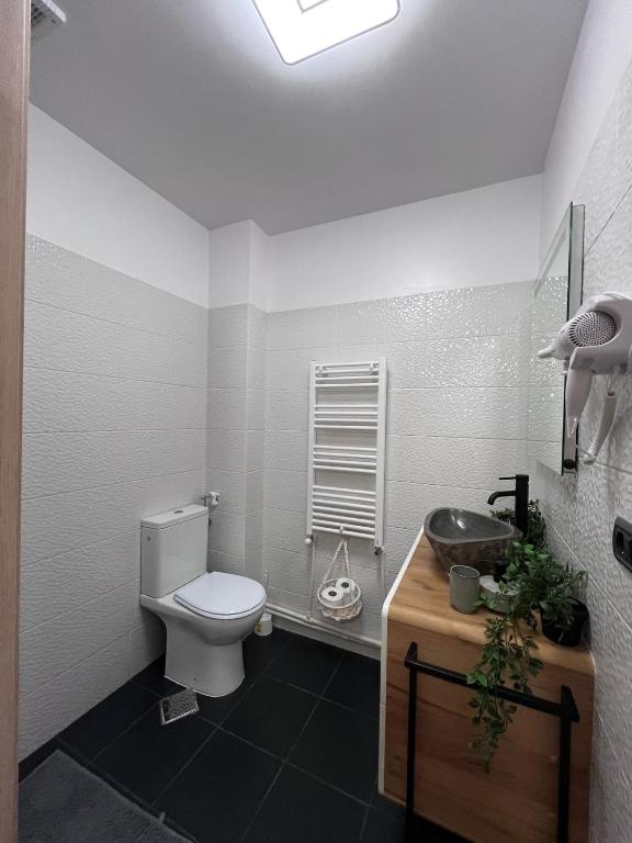 Casa Basarab Brasov - Resim 16