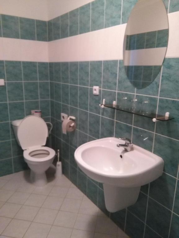 Koupelna v ubytování Hotel Nové Údolí
