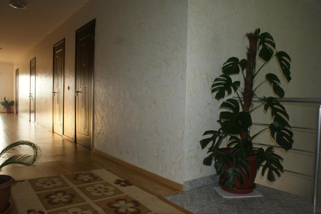 Foto de la galeria de Kvariati - Guest House a Kvariati