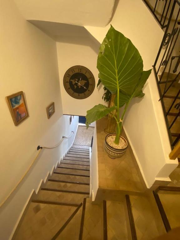 Fotografie z fotogalerie ubytování MAKTUB SURF HOUSE v destinaci Tamraght Ouzdar