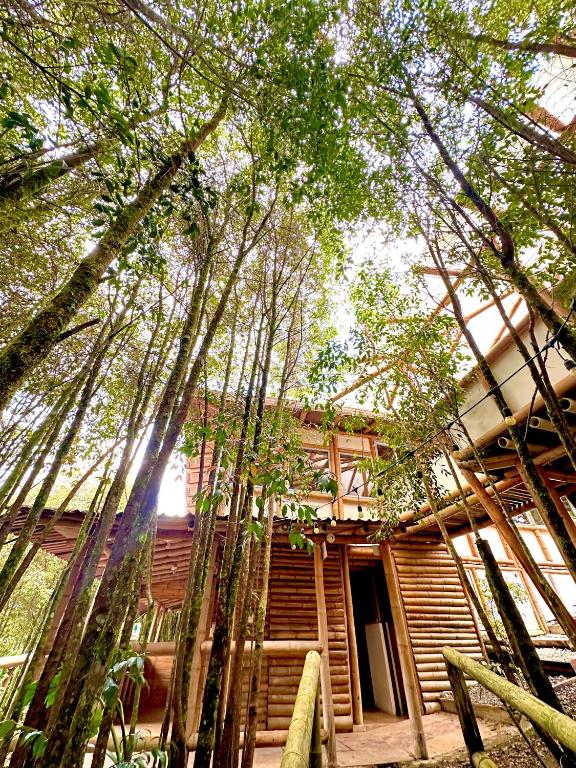 Eco Hotel Terrabella - Habitación Cuádruple Superior