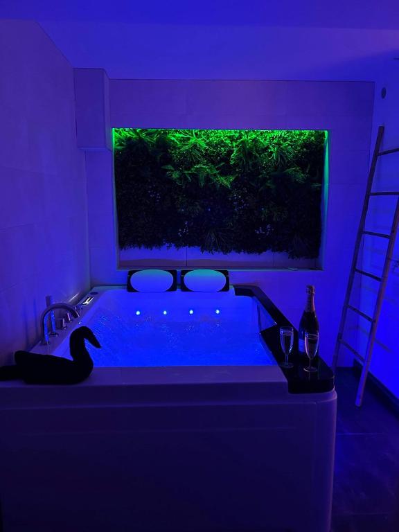 um quarto escuro com uma banheira com uma planta verde debaixo de uma janela em Beau gîte avec jacuzzi em Barr