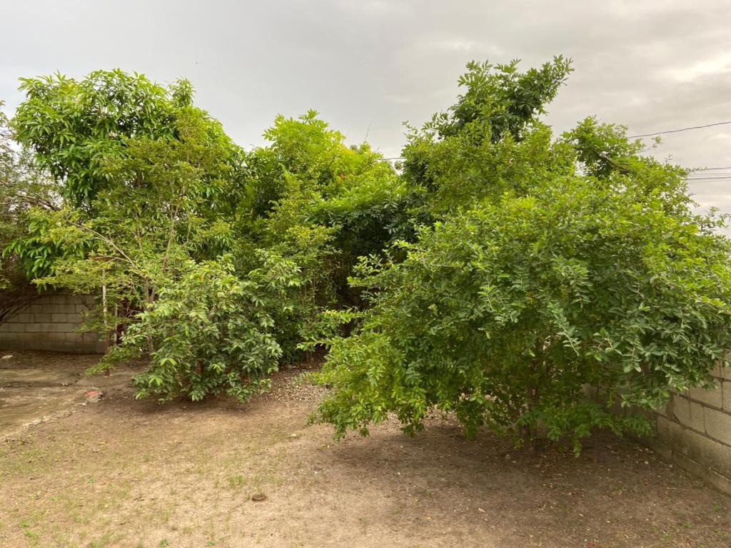 Apartment The Whitewater Meadows, Spanish Town, Jamaica