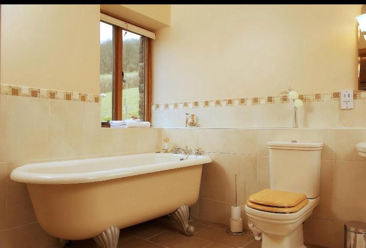 The Celyn - Superior Suite