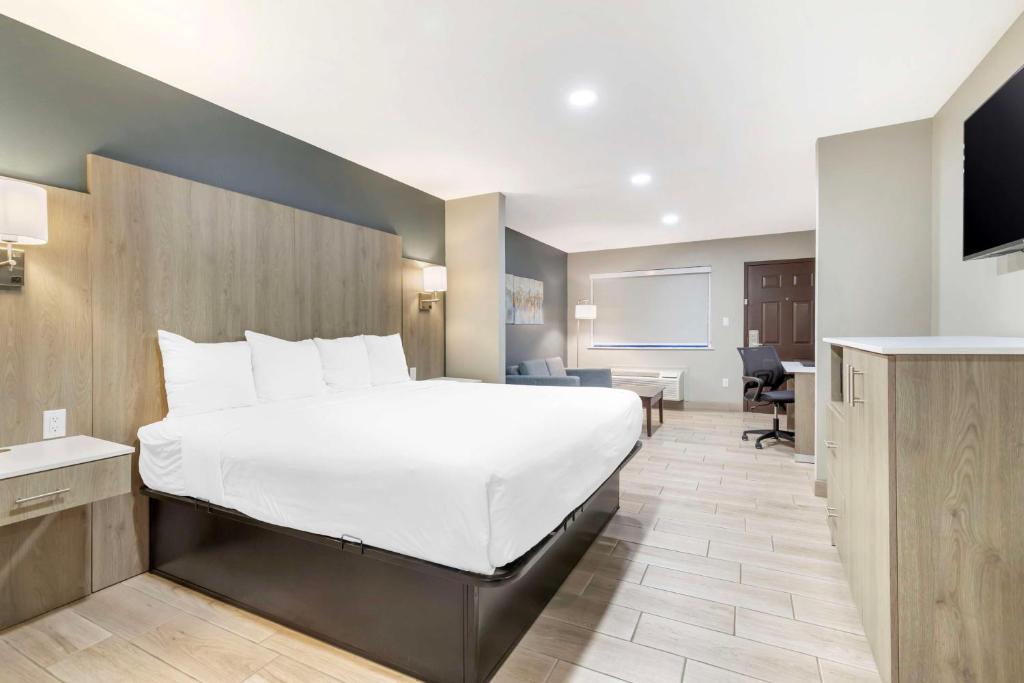 Best Western Plus Edinburg Inn & Suites photo