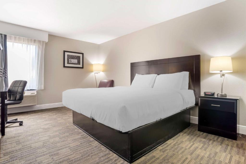 a hotel room with a large bed and a chair at Best Western Bayou Inn in Westwego