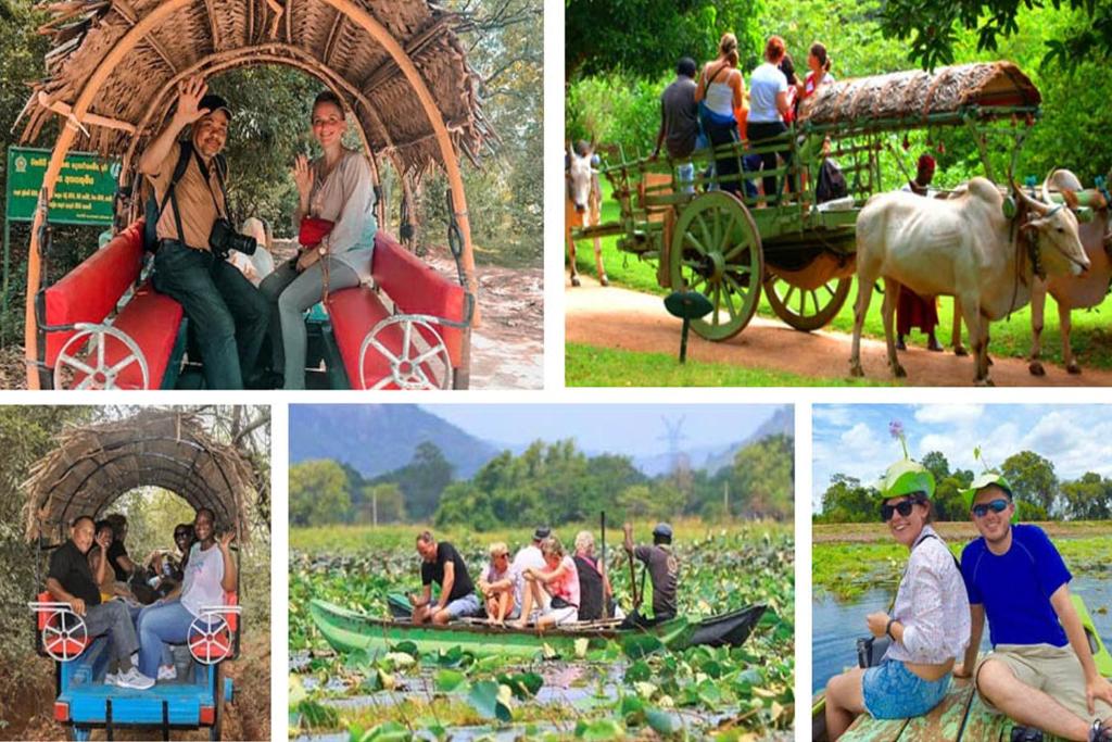 Sigiri Sky Home & TreeHouse - 19