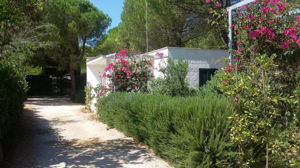 Zahrada ubytování Camping Cala dei Ginepri