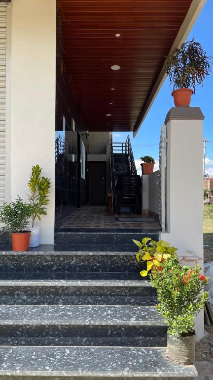 a porch of a house with stairs and potted plants at Mamatha Guest inn in Hampi