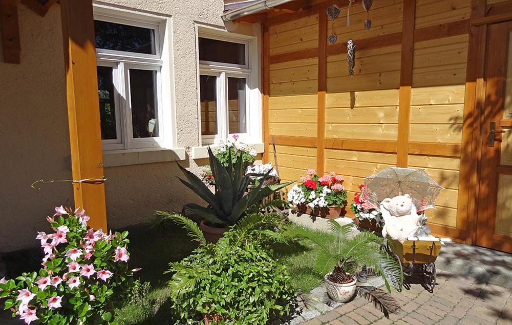 Zahrada ubytování Weißer Stein Jonsdorf