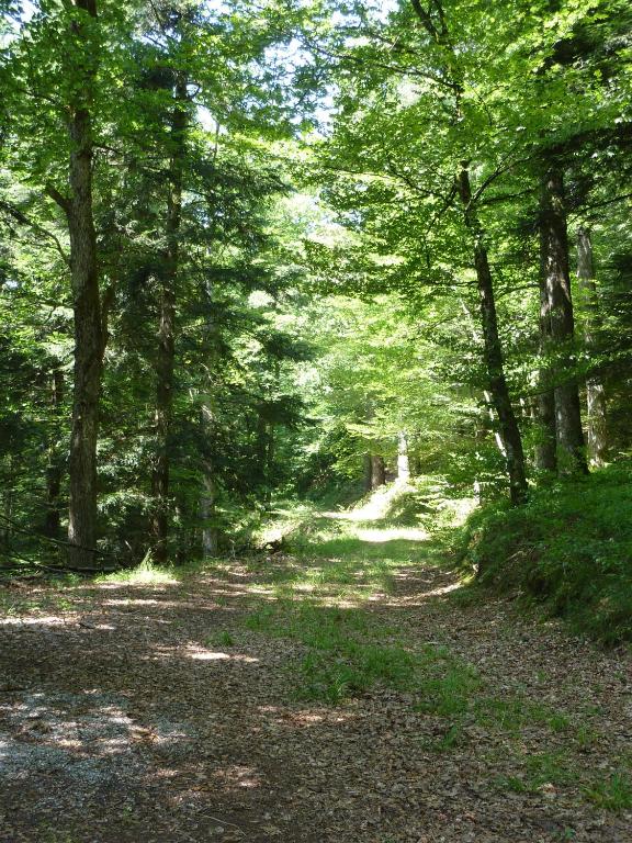Příroda nedaleko penzionu – hostince