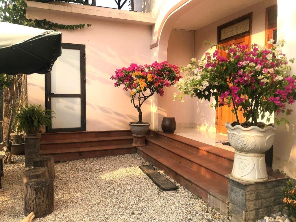 Gia Bảo Homestay - Cao Bằng - Hizvo