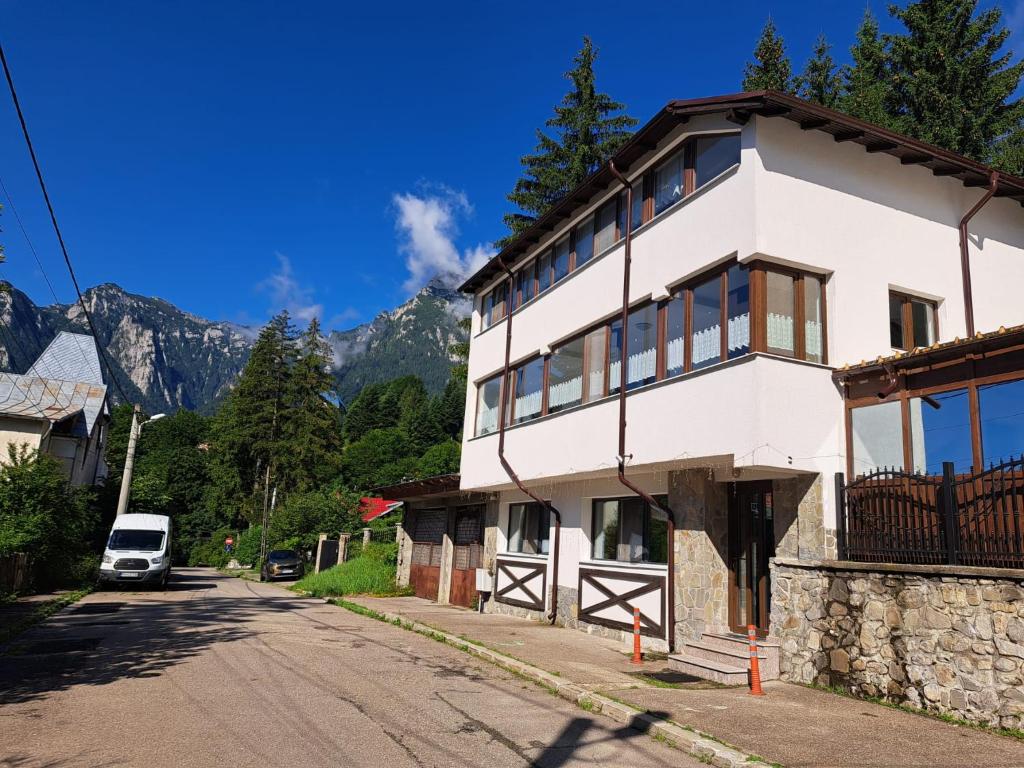 ブシュテニにあるCasa Dobreの山を背景にした道路の白い建物