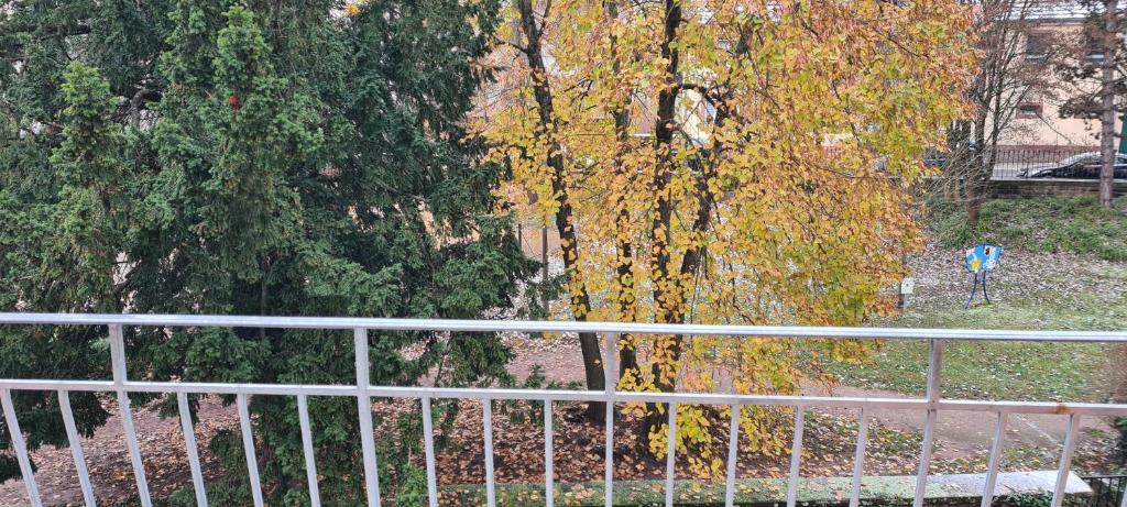 ニーデルブロン・レ・バンにあるMeublé du 25 N°5 de tourisme 3*の秋の紅葉の木の隣にある金属製のフェンス